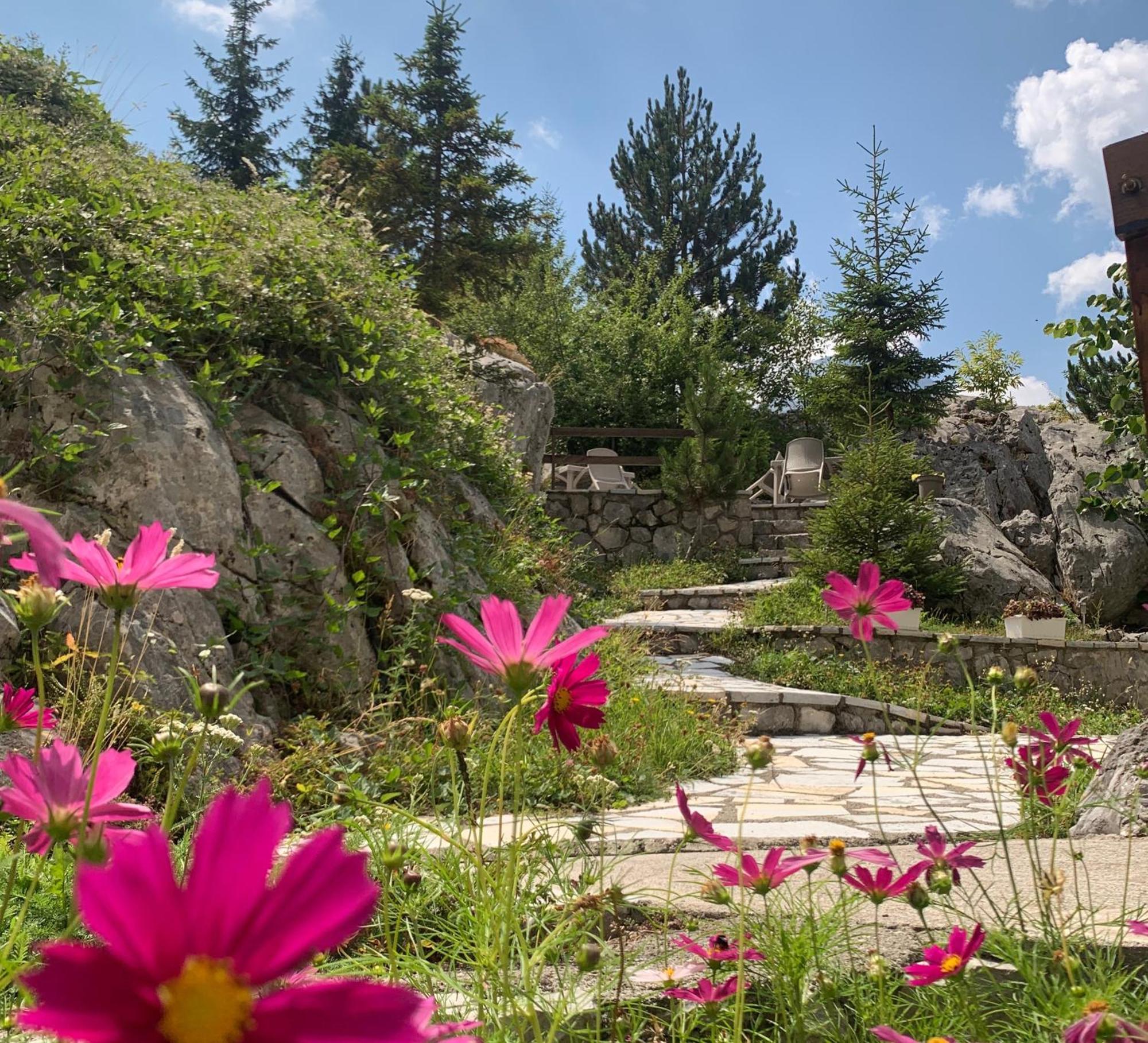 Bujtina Valbone Hotel Bagian luar foto